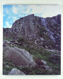 Glendolough goat - click to enlarge