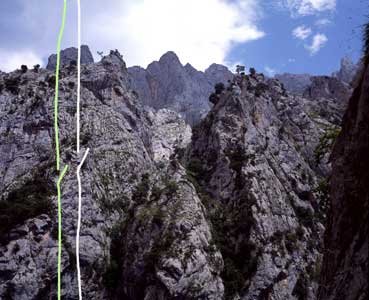 Picos switch