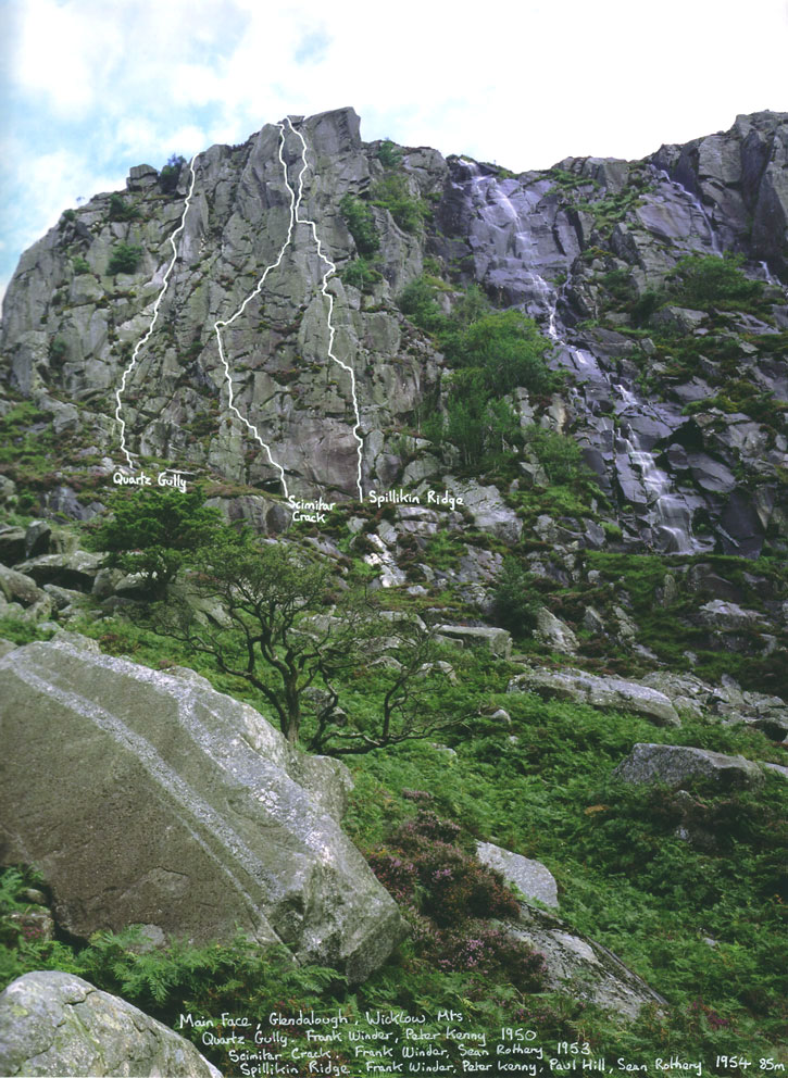 Glendolough - goat